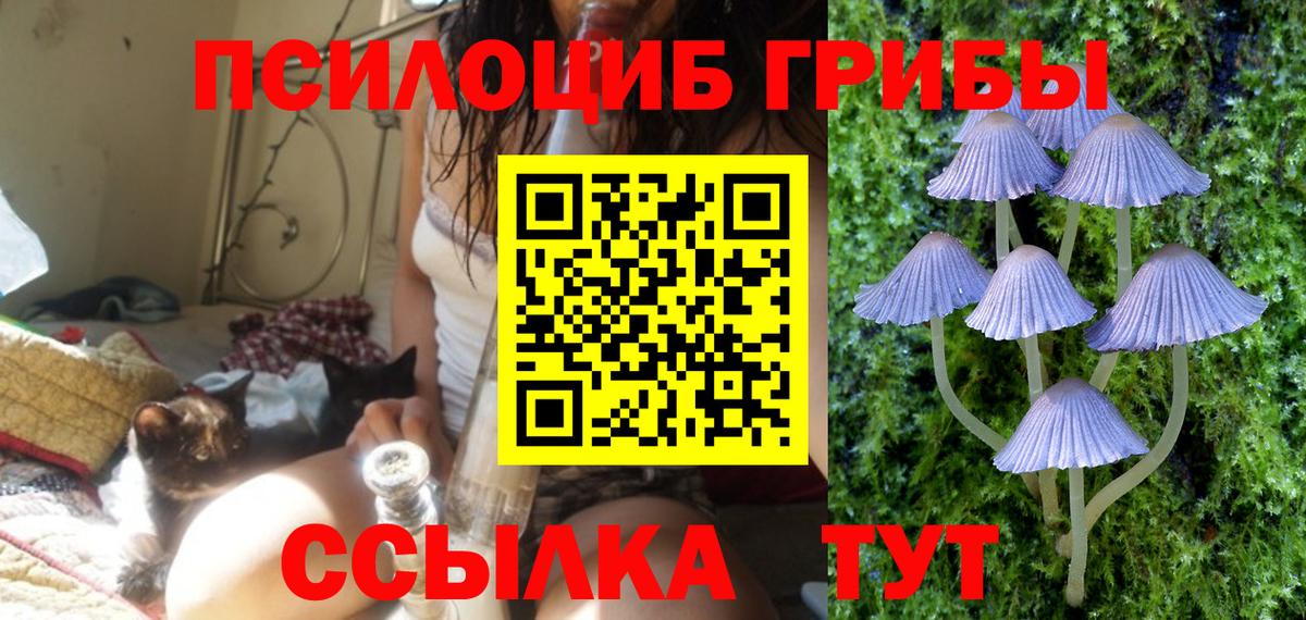 Обь  Псилоцибиновые грибы Psilocybe  Псилоцибиновые грибы Psilocybine cubensis  Вход с VPN 